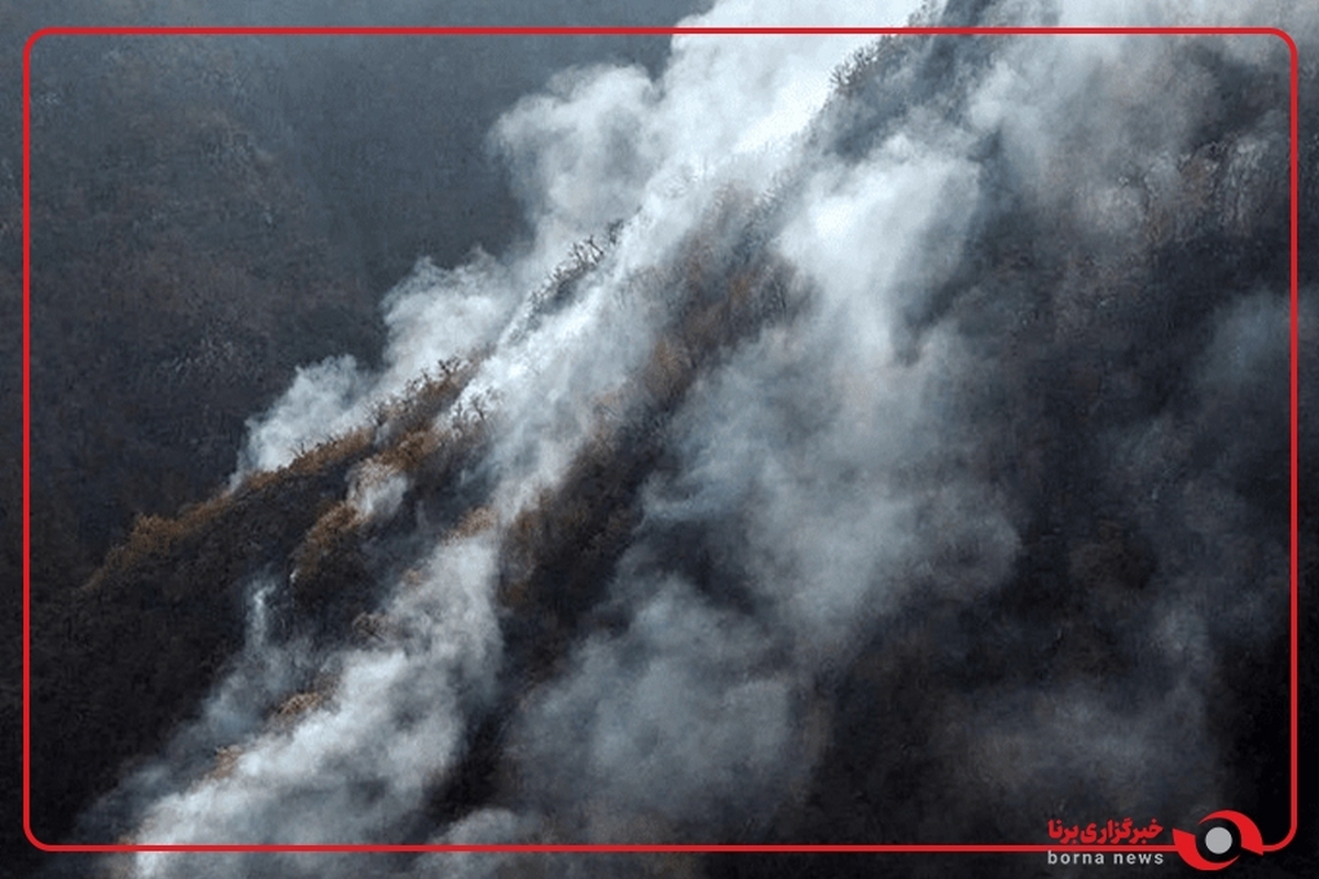 آخرین تصاویر از اطفای حریق در جنگل الیت چالوس