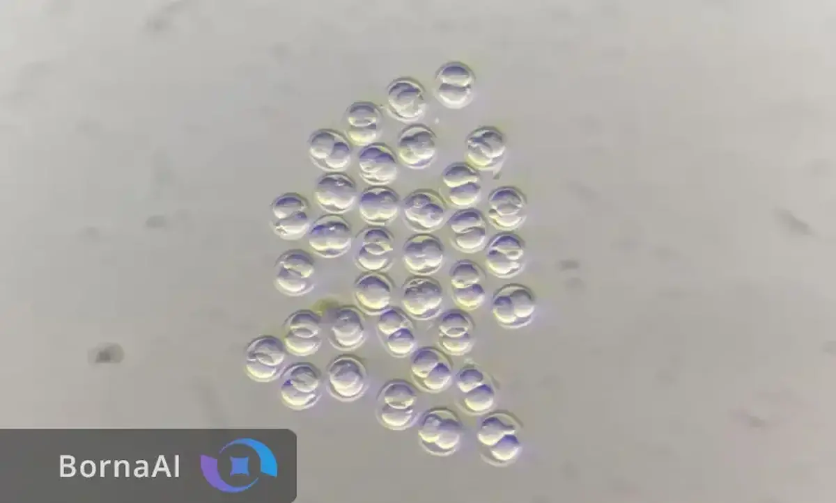 دی‌ان‌ای ویروسی باستانی چگونه رشد اولیه جنین را هدایت می‌کند؟