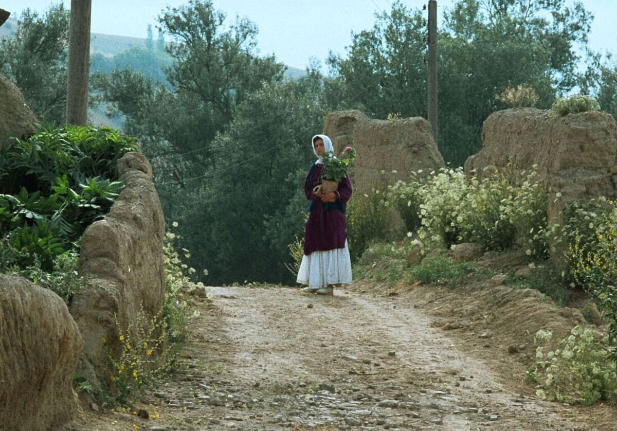 افتتاح جشنواره جهانی فجر با فیلمی از عباس کیارستمی