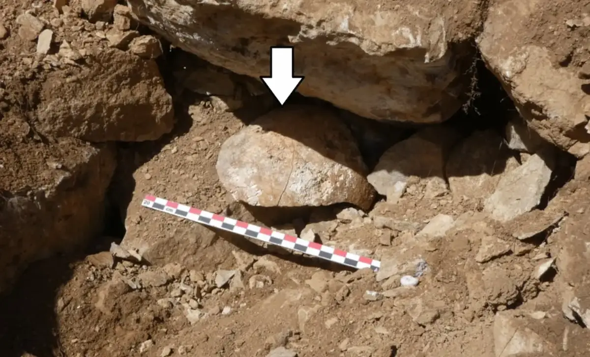 جمجمه 2 هزارساله جنگجوی شکست‌ خورده در زیر دیوار پیدا شد