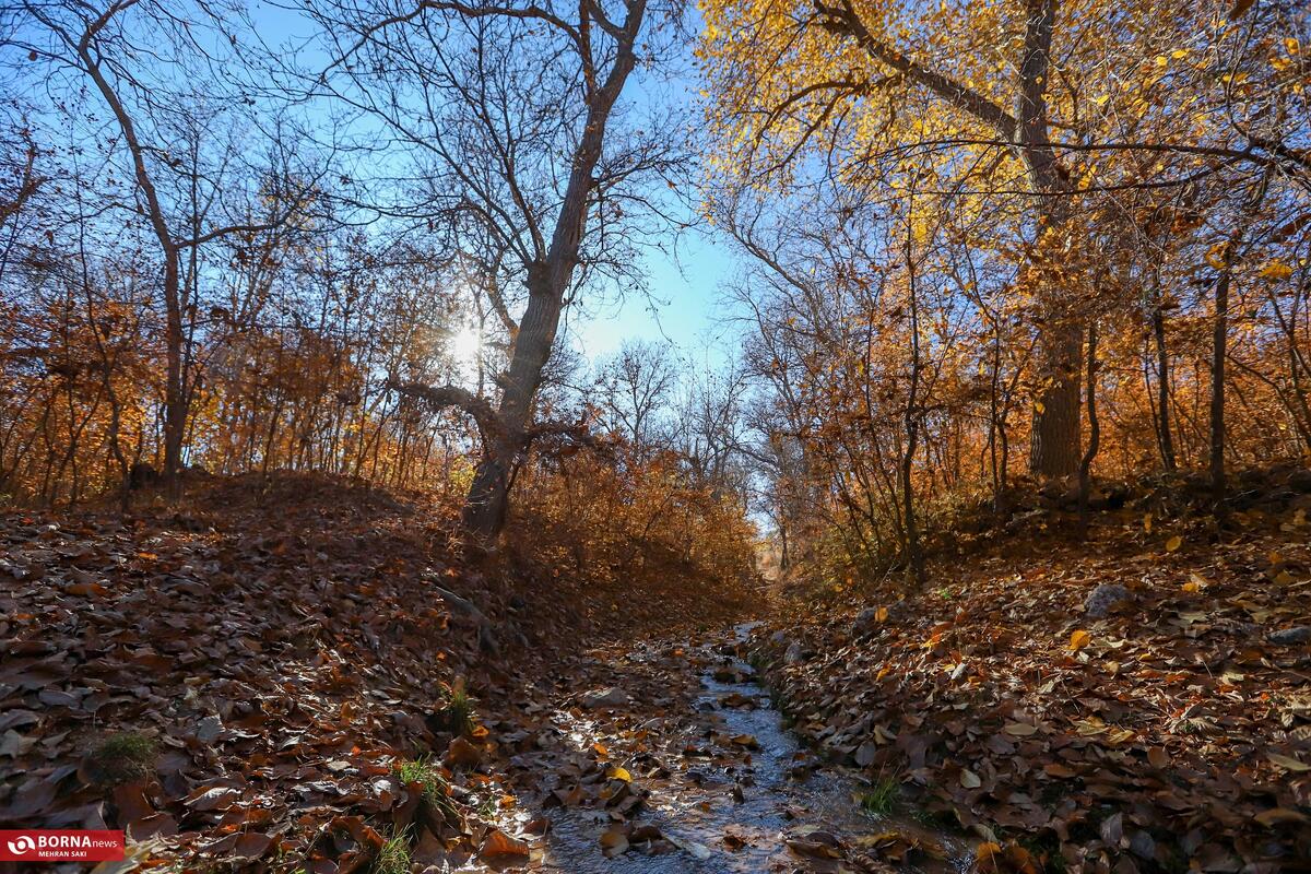 پاییز روستای وفس